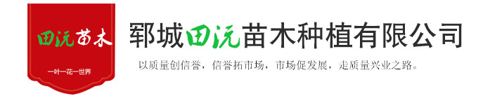 郓城国产精品麻豆专区苗木种植有限公司